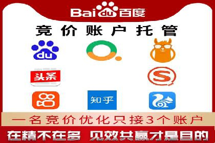 SEM服务案例：提升网站流量